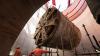 HS2’s Tunnel Boring Machine (TBM) ‘Anne’ being lifted to the surface at Green Park Way site in Greenford, West London.